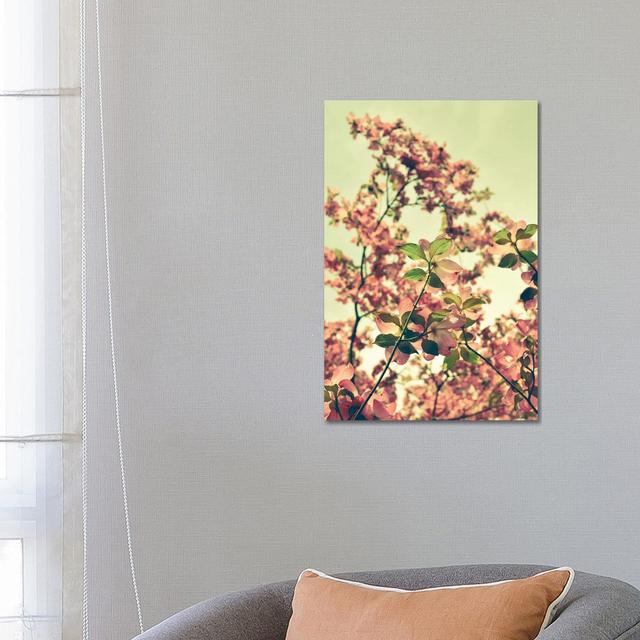 Blossom by Olivia Joy StClaire - Wrapped Canvas Art Prints ClassicLiving Size: 66.04cm H x 45.72cm W x 3.81cm D on Productcaster.