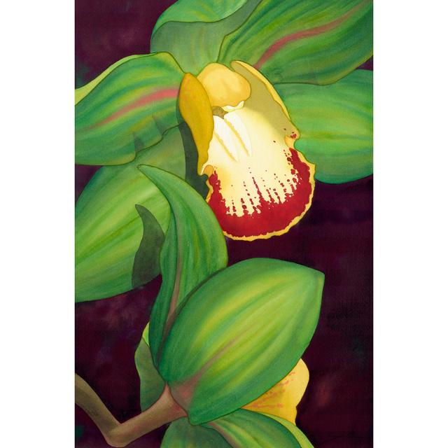 Lime Orchid II by Jason Higby - Wrapped Canvas Art Prints Rosalind Wheeler Size: 30cm H x 20cm W on Productcaster.