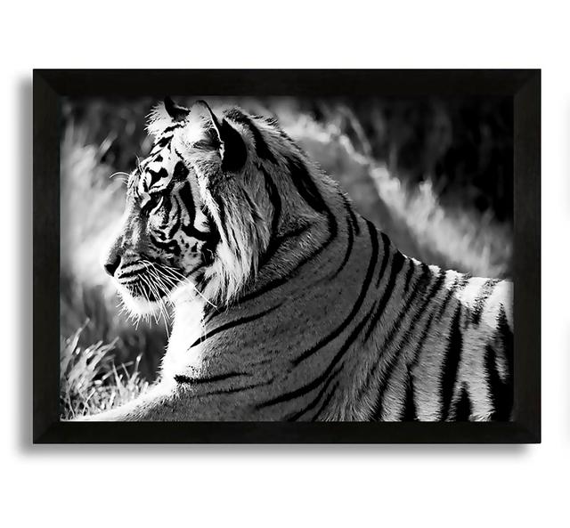 Tiger Resting - Picture Frame Photograph on Canvas Latitude Run Size: 30cm H x 42cm W x 10cm D on Productcaster.