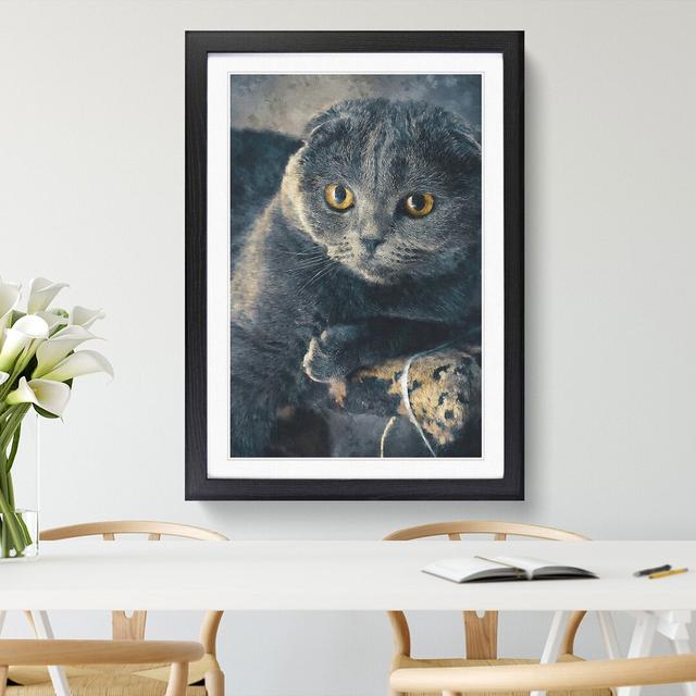 Scottish Fold Cat - Picture Frame Graphic Art East Urban Home Size: 48cm H x 36cm W x 2cm D, Frame Option: Black Framed on Productcaster.