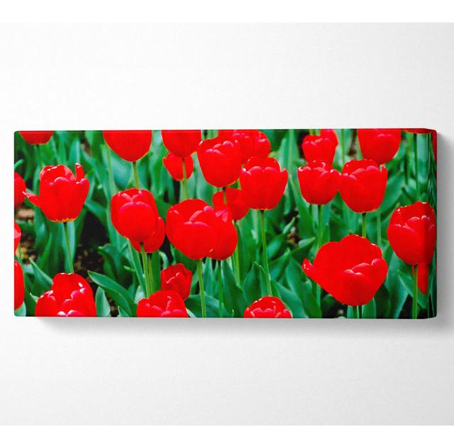 Leinwandbild Ebern Designs Größe: 71cm H x 162,5cm B on Productcaster.