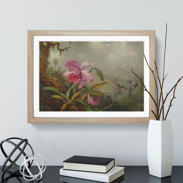 Orchid with Hummingbirds Vol.1 by Martin Johnson Heade - Picture Frame Painting East Urban Home Frame Option: Oak Framed, Size: 48cm H x 65cm W x 2cm on Productcaster.