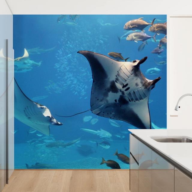 Matt Fototapete Manta Ray 2,88 m x 288 cm East Urban Home on Productcaster.