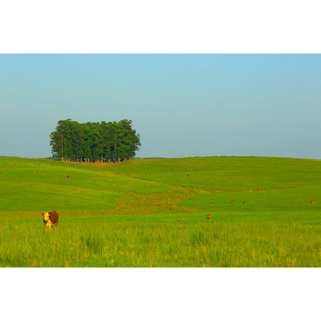 Cow And Trees by Agustavop - No Frame Art Prints on Canvas 17 Stories Size: 20cm H x 30cm W on Productcaster.