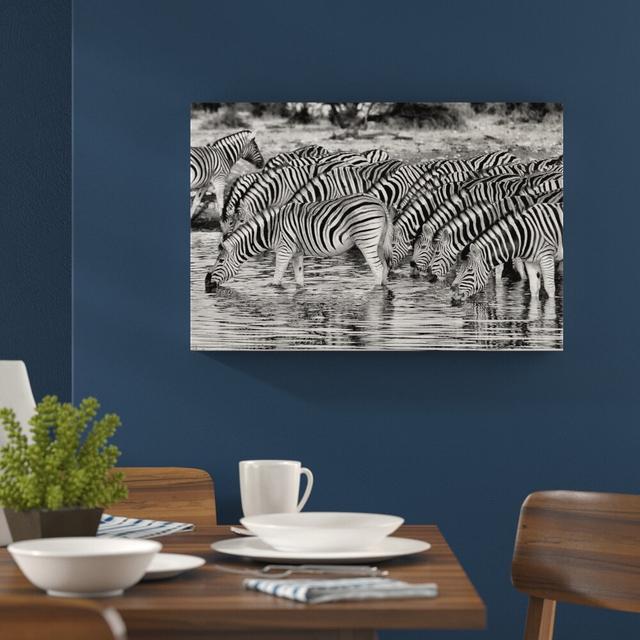 Leinwandbild Zebras, Safari, Sonnenuntergang, Afrika in Monochrom East Urban Home Größe: 60 cm H x 80 cm B on Productcaster.