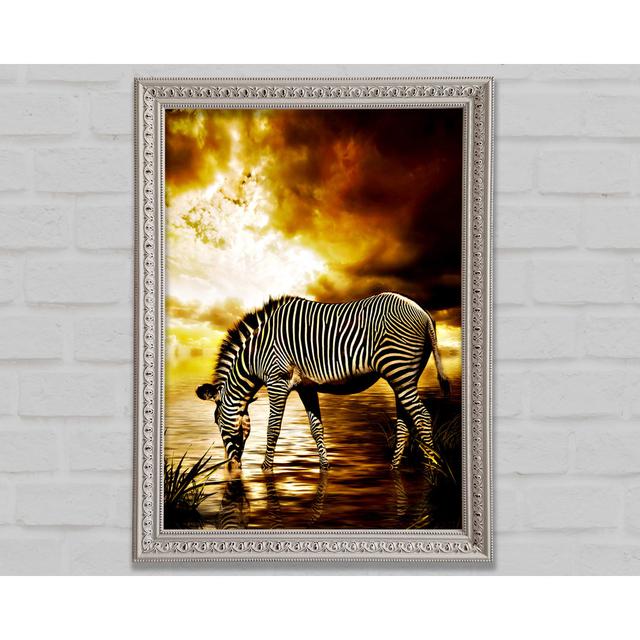 Zebra In The Golden River - Single Picture Frame Art Prints Bright Star Size: 42cm H x 29.7cm W x 3cm D on Productcaster.