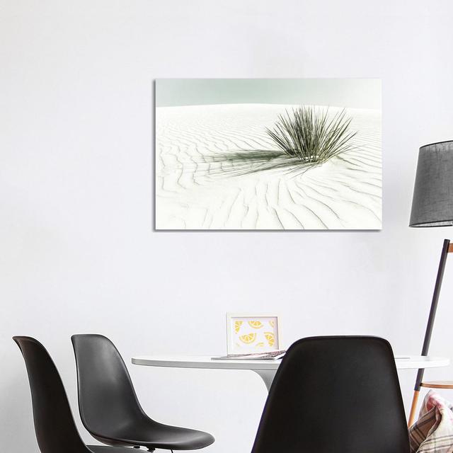 White Sands Dune | Vintage by Melanie Viola - Wrapped Canvas Print Natur Pur Size: 66.04cm H x 101.6cm W x 1.905cm D on Productcaster.