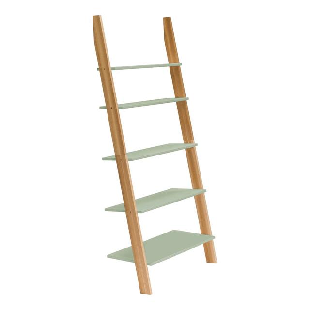 Leonard Ladder Bookcase Zipcode Design Size: H180 x W85 x D35cm, Colour: Sage Green on Productcaster.