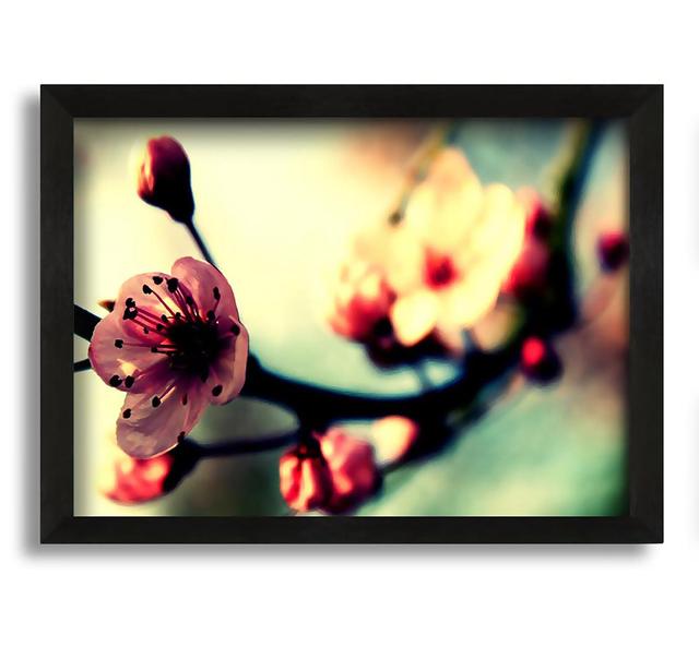 Cherry Blossom in Spring - Picture Frame Graphic Art on Canvas Ebern Designs Size: 42cm H x 60cm W x 10cm D on Productcaster.