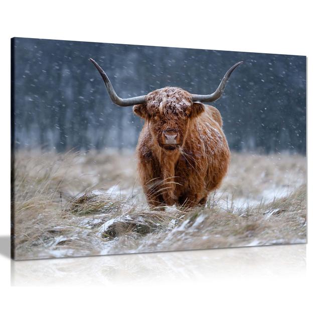 Brown Highland Cow in Snow Fields Artistic - Wrapped Canvas Art Prints Panther Print Size: 31cm H x 20cm W on Productcaster.