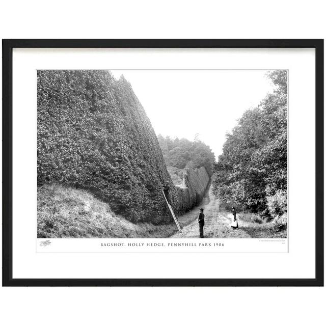 Bagshot, Holly Hedge, Pennyhill Park 1906 by Francis Frith - Single Picture Frame Print The Francis Frith Collection Size: 28cm H x 36cm W x 2.3cm D on Productcaster.