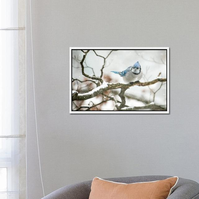 Cold Jay by David Gardiner - Print on Canvas Ebern Designs Format: White Framed on Productcaster.