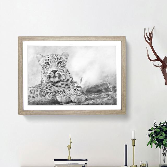 Leopard Resting - Picture Frame Photograph Print East Urban Home Size: 24cm H x 33cm W x 2cm D, Frame Option: Oak Framed on Productcaster.