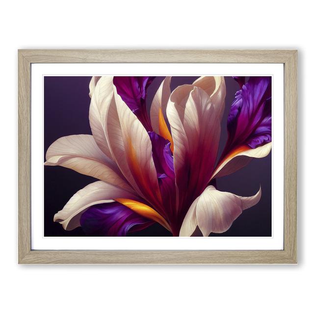 Interesting Flower - Picture Frame Graphic Art ClassicLiving Size: 25cm H x 34cm W x 2cm D, Frame Colour: Oak on Productcaster.