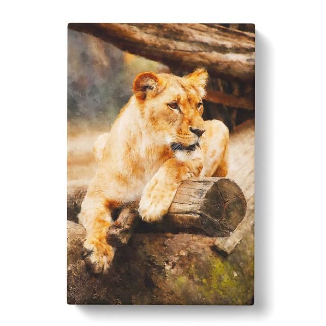 Lioness - Wrapped Canvas Photograph East Urban Home Size: 60cm H x 40cm W x 3cm D on Productcaster.