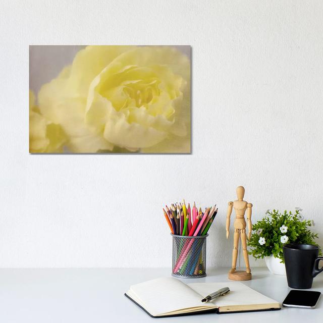 Rose Whisper III by Judy Stalus - Wrapped Canvas Print Latitude Run Size: 20.32cm H x 30.48cm W x 1.91cm D on Productcaster.