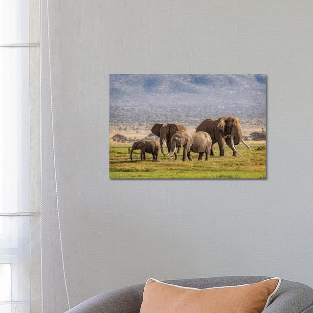 Elephant Family In Amboseli Kenya by Susan Richey - Gallery-Wrapped Canvas Giclée on Canvas Ebern Designs Size: 45.72cm H x 66.04cm W x 1.91cm D, Form on Productcaster.