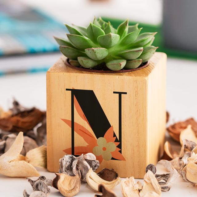 Succulent with N Letter Flowerpot zarify on Productcaster.