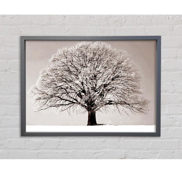 Lonely Winter Tree Framed Print Ophelia & Co. Format: White Framed Canvas, Size: 100cm H x 141.4cm W x 3.3cm D on Productcaster.