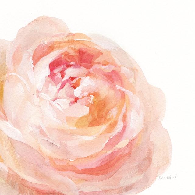 Garden Rose on White Crop by Danhui Nai - Wrapped Canvas Painting Mercer41 Size: 30cm H x 30cm W x 3.8cm D on Productcaster.