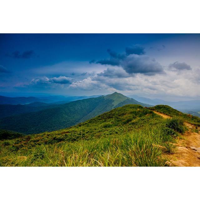 Giddens Bieszczady National Park by Arfo - Wrapped Canvas Photograph Alpen Home Size: 30cm H x 46cm W x 3.8cm D on Productcaster.