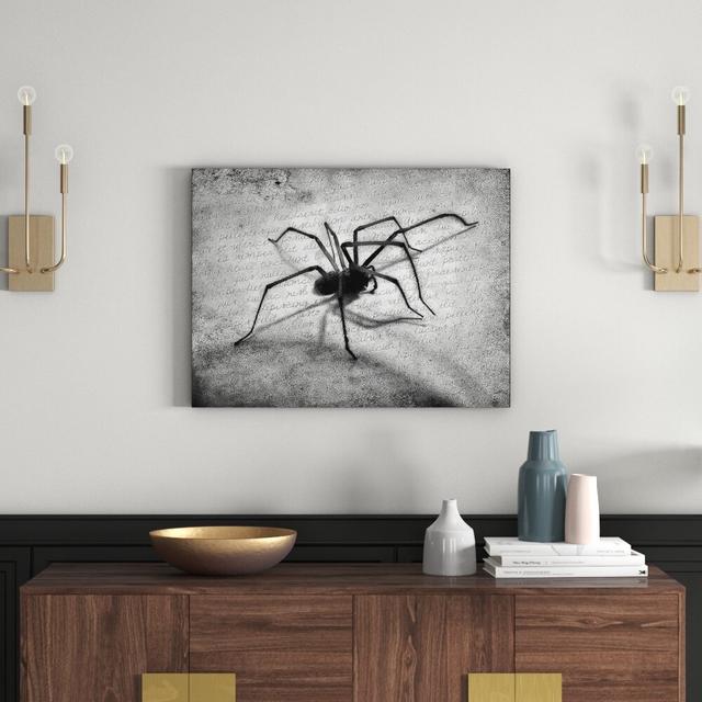 Leinwandbild Hausspinne auf Briefpapier in Monochrom East Urban Home Größe: 70 cm H x 100 cm B on Productcaster.