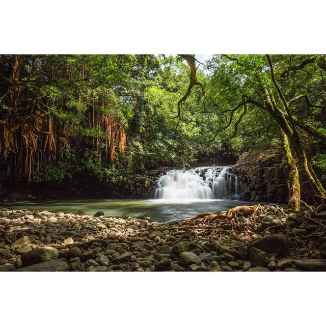 Serenity - Wrapped Canvas Photograph Union Rustic Size: 30cm H x 46cm W x 3.8cm D on Productcaster.