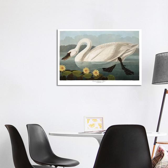 Common American Swan House of Hampton Size: 66.04cm H x 101.6cm W x 3.81cm D on Productcaster.