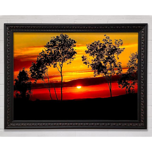 Red Sunrise Through The Trees Framed Print Bright Star Size: 100cm H x 141.4cm W on Productcaster.