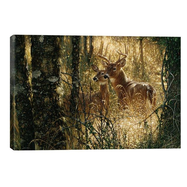 A Golden Moment - Whitetail Deer by Collin Bogle - Wrapped Canvas Painting Alpen Home Size: 66.04cm H x 101.6cm W x 3.81cm D on Productcaster.