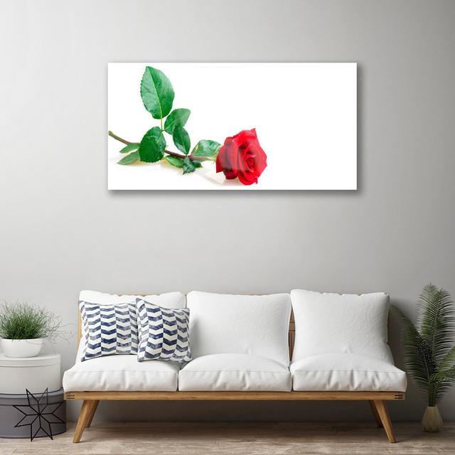 Floral Rose - Unframed Photograph on Glass Canora Grey on Productcaster.