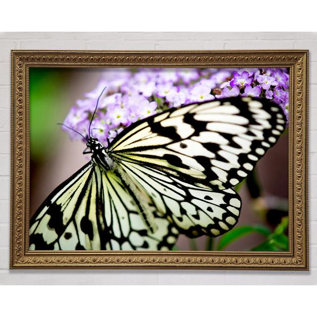 Single Picture Frame Art Prints August Grove Size: 100cm H x 141.4cm W on Productcaster.