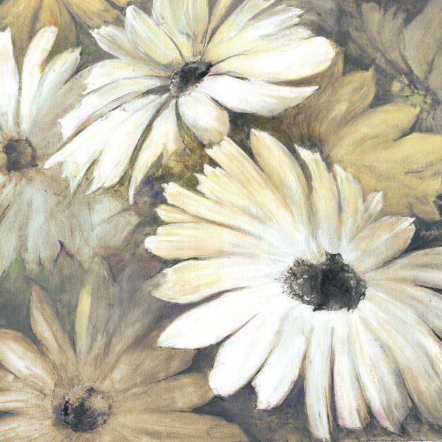 Neutral Daisy - Wrapped Canvas Painting Rosalind Wheeler Size: 76cm H x 76cm W on Productcaster.