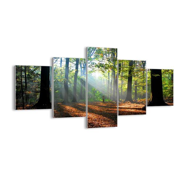 5 Piece Unframed Photograph Print Set on Glass Union Rustic Size: 70cm H x 125cm W x 1.8cm D on Productcaster.