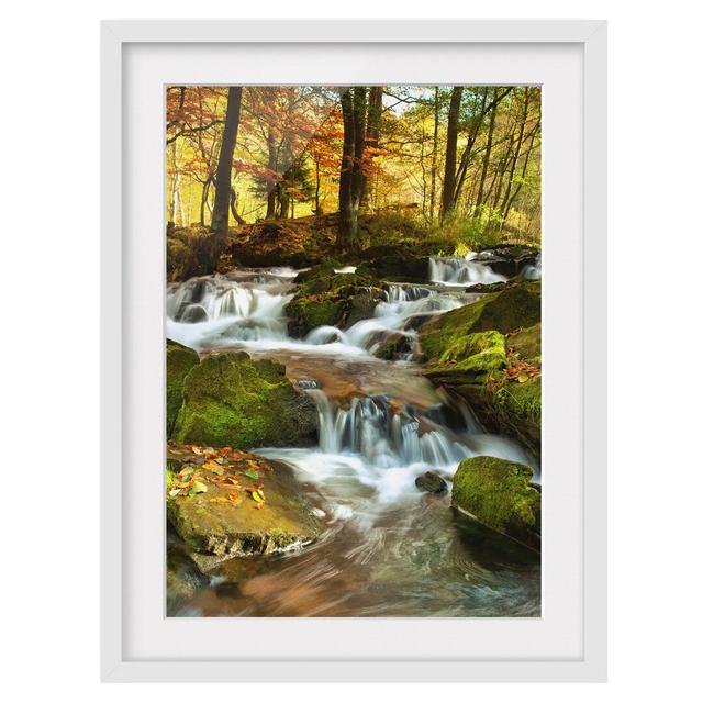 'Waterfall in an Autumnal Forest' - Picture Frame Photograph Print on Paper East Urban Home Frame Options: Matt white, Size: 100 cm H x 70 cm W on Productcaster.