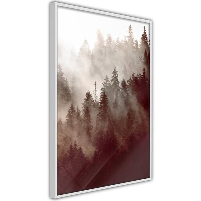 Gerahmter Fotodruck Forest Fog Alpen Home Größe: 60 cm H x 40 cm B x 2 cm T, Rahmenart: Schwarzer Rahmen on Productcaster.