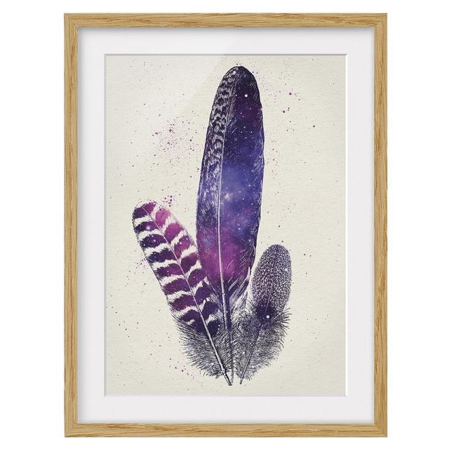 Feathers and Stars Framed Photographic Print East Urban Home Size: 55 cm H x 40 cm W, Frame Options: Natural oak on Productcaster.