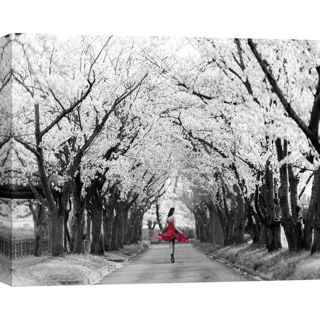 3AP6113 Sakura Girl by Haute Photo Collection - Wrapped Canvas Art Prints Fairmont Park Size: 50cm H x 70cm W x 4cm D on Productcaster.