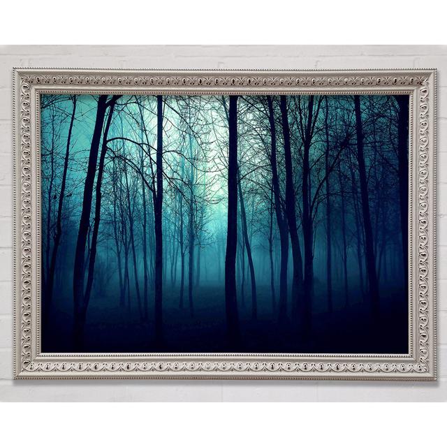 Dark Forest - Single Picture Frame Art Prints Bright Star Size: 42cm H x 59.7cm W x 3cm D on Productcaster.