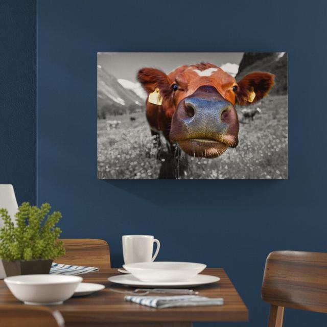 Leinwandbild Fully-Grown Cow in Mountain Meadow East Urban Home Größe: 70 cm H x 100 cm B on Productcaster.