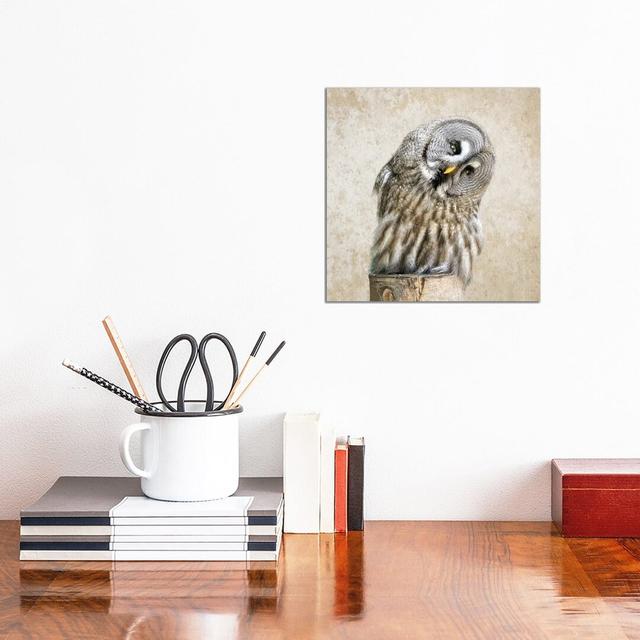 Barred Owl - Wrapped Canvas Print Wayfair Samples Size: 30.48cm H x 30.48cm W on Productcaster.