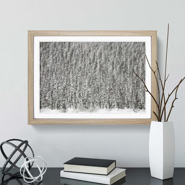 The Winter Forest in Canada in Abstract - Picture Frame Graphic Art Print East Urban Home Frame Option: Oak, Size: 35cm H x 50cm W x 2cm D on Productcaster.