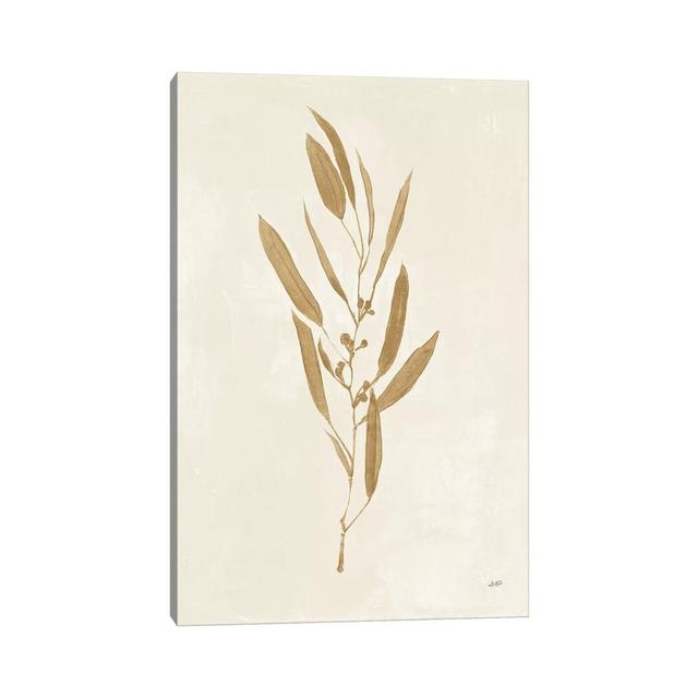 Botanical Study I Gold by Julia Purinton - Wrapped Canvas Gallery-Wrapped Canvas Giclée ClassicLiving Size: 45.72cm H x 30.48cm W on Productcaster.