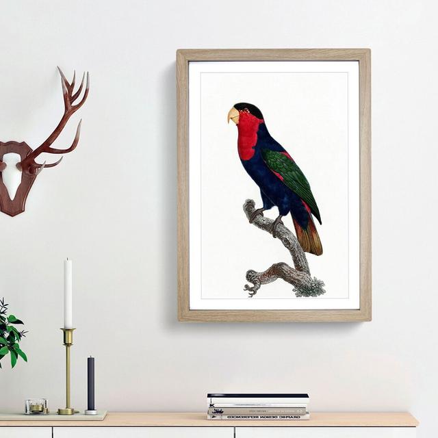 Black-Capped Lory by F. Levaillant - Picture Frame Art Print East Urban Home Frame Option: Oak Framed, Size: 36cm H x 27cm W x 2cm D on Productcaster.