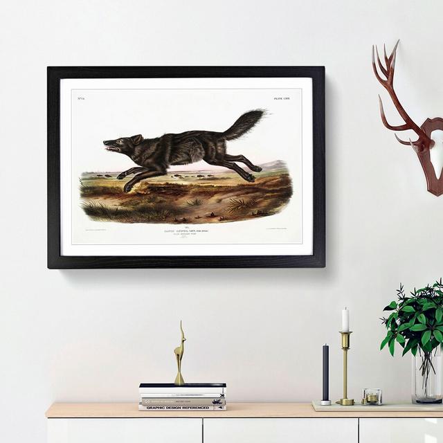 Black American Wolf by J.W. Audubon - Picture Frame Painting Print East Urban Home Size: 48cm H x 65cm W x 2cm D, Frame Option: Black Framed on Productcaster.