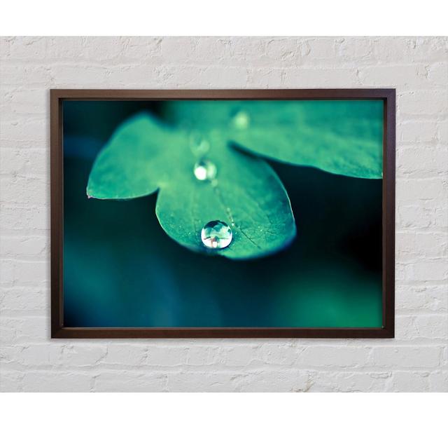 Drop Of Water Macro - Single Picture Frame Art Prints on Canvas Bright Star Size: 100cm H x 141.4cm W x 3.3cm D on Productcaster.