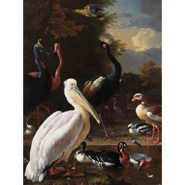 Hondecoeter Pelican Birds Pool Floating Feather Extra Large XL Wall Art Poster Print House of Hampton on Productcaster.