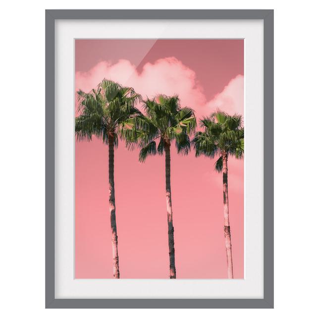 Palm Trees in Front of Sky Pink - Picture Frame Graphic Art Bay Isle Home Size: 70cm H x 50cm W x 2cm D, Frame Option: Grey Framed on Productcaster.