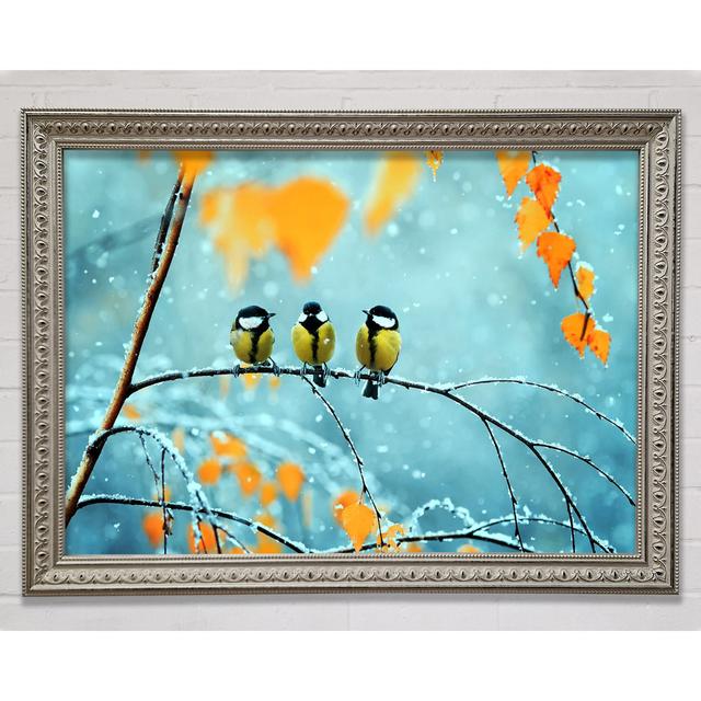 Blue Tit Birds Winter Framed Print Rosalind Wheeler Size: 29.7cm H x 42cm W on Productcaster.