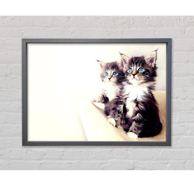 Cute Kittens - Print Brayden Studio Size: 59.7cm H x 84.1cm W x 3.3cm D, Format: Dark Grey Framed Canvas on Productcaster.